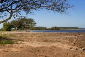 estate paesaggio su il banche di il fiume nel il città di federazione Provincia di entre rios argentina foto