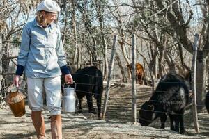 rurale Lavorando donna mungitura il mucche foto