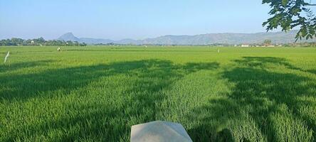 cielo nel il campagna foto