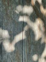 le foglie ombra sfondo su di legno parete struttura, le foglie albero rami ombra con luce del sole foto