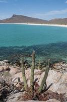 archipielago isla espiritu santo a la paz, baja california foto