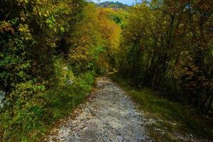 strada di campagna in autunno