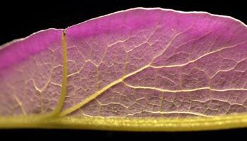 vivace colori di natura bellezza nel studio tiro generato di ai foto