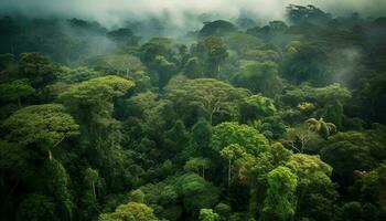 verde montagna picco sorge sopra nebbioso tropicale foresta pluviale paesaggio generato di ai foto