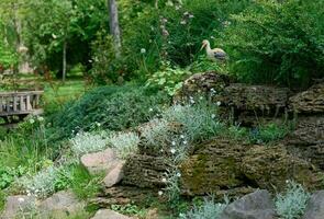 grande stanco pendenza con cespugli, fiori e giardino arredamento su un' primavera pomeriggio. paesaggio design foto