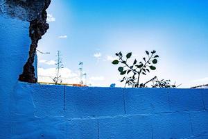 piccola pianta di mattoni blu e tanto cielo foto