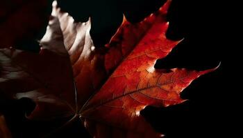 vivace autunno acero foglia, bellezza nel natura generato di ai foto