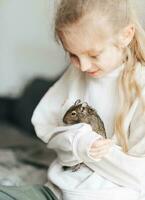 giovane ragazza giocando con piccolo animale degu scoiattolo. foto