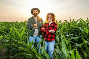 famiglia agricolo occupazione. uomo e donna siamo coltivando Mais. essi siamo soddisfatto con bene progresso di impianti. foto