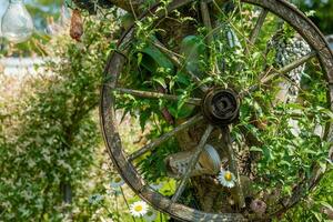 un vecchio decorativo di legno ruota nel un' giardino foto