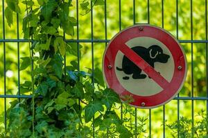 un' cartello no cane escrementi permesso Qui foto