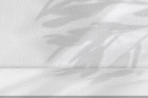 calcestruzzo parete struttura con le foglie ombra copertura su bianca sfondo, vuoto grigio studio sfondo con raggio di sole su pavimento, fondale bandiera per cosmetico Prodotto esposizione, modello bellezza presentazione foto