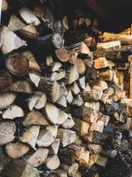 tronchi di legno marroni e bianchi foto