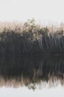 alberi che riflettono sul lago in autunno foto