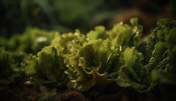 verde foglia verdura insalata, fresco a partire dal azienda agricola generato di ai foto