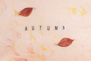 parola autunno e rosso autunno le foglie su rosa sfondo autunno umore, copia spazio foto