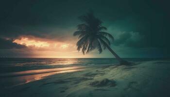 tranquillo palma albero silhouette a acque bordo generato di ai foto