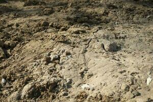 asciutto terra. scavato suolo. costruzione luogo. foto