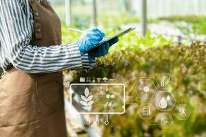 donna mani giardinaggio lattuga nel azienda agricola con crescita processi e chimico formula su verde sfondo. foto