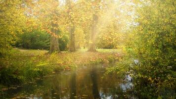 bellissimo autunno stagione foto