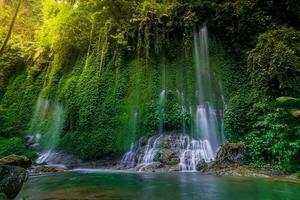 bellissimo mattina Visualizza Indonesia. panorama paesaggio risaia i campi con bellezza colore e cielo naturale leggero foto