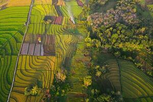 naturale paesaggio di terrazzato riso terrazze nel Indonesia foto