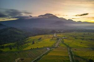 bellissimo mattina Visualizza Indonesia panorama paesaggio risaia i campi con bellezza colore e cielo naturale leggero foto