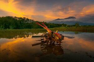 bellissimo mattina Visualizza Indonesia panorama paesaggio risaia i campi con bellezza colore e cielo naturale leggero foto