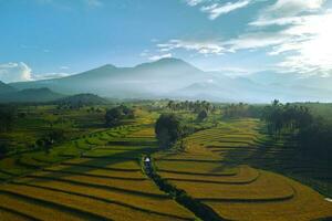 bellissimo mattina Visualizza Indonesia panorama paesaggio risaia i campi con bellezza colore e cielo naturale leggero foto