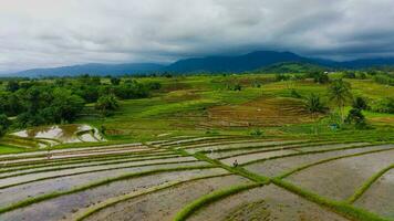 bellissimo mattina Visualizza Indonesia panorama paesaggio risaia i campi con bellezza colore e cielo naturale leggero foto