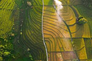 naturale paesaggio di terrazzato riso terrazze nel Indonesia foto