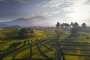 bellissimo mattina Visualizza Indonesia panorama paesaggio risaia i campi con bellezza colore e cielo naturale leggero foto