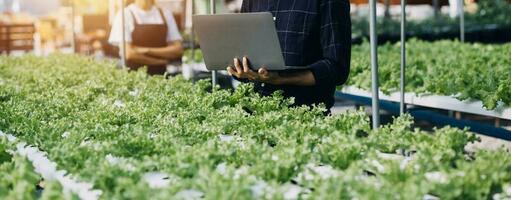 contadino uomo e donna utilizzando il computer portatile esame qualità a verdura idroponica a serra. concetto di verdure Salute cibo. inteligente azienda agricola utilizzando tecnologia in crescita attività commerciale hydro produrre. foto