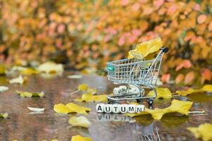 parola autunno è composto di di legno lettere. , mini shopping carrello su un' bagnato marmo pietra nel autunno periodo. foto