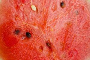 rosso acqua melone- sfondo foto