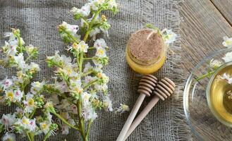 bicchiere tazza di Castagna tè. avvicinamento foto