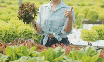 donna giardiniere ispeziona qualità di verde quercia lattuga nel serra giardinaggio. femmina asiatico orticoltura contadino coltivare salutare nutrizione biologico insalata verdure nel idroponica agribusiness azienda agricola. foto