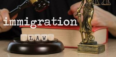 parole immigrazione legge composto di di legno dadi. di legno martelletto e statua di themis nel il sfondo. foto