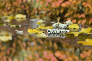 parola autunno è composto di di legno lettere. foto