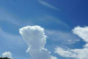 naturale poteva con blu cielo sfondo foto