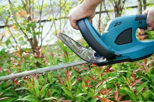 giardiniere Rifinitura cespuglio di elettrico siepe clippers nel giardino. passatempo a casa. foto