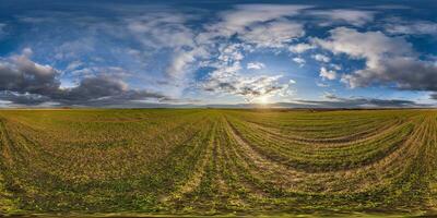 360 hdri panorama Visualizza tra i campi con tramonto cielo nel d'oro ora nel campagna nel equirettangolare senza soluzione di continuità sferico proiezione. uso piace cielo sostituzione per fuco scatti foto