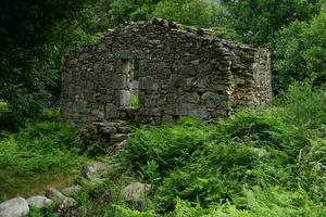 rovine di tradizionale pietra Casa con mancante tetto circondato con verde vegetazione foto