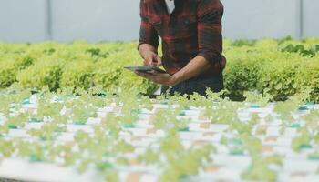 Due asiatico agricoltori ispezionando il qualità di biologico verdure cresciuto utilizzando idroponica. foto