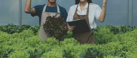 agricoltori uso verniero pinze per misurare verdure per traccia loro crescita nel pianta asilo azienda agricola. inteligente agricoltura tecnologia concetto. foto