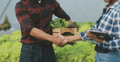 giovane asiatico donna e anziano uomo contadino Lavorando insieme nel biologico idroponica insalata verdura azienda agricola. moderno verdura giardino proprietario utilizzando digitale tavoletta ispezionare qualità di lattuga nel serra giardino. foto