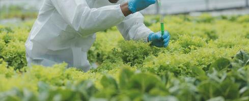 femmina scienziato l'esame un' impianti nel serra azienda agricola. scienziati Tenere attrezzatura per ricerca pianta nel biologico azienda agricola. qualità controllo per idroponica verdura azienda agricola. foto