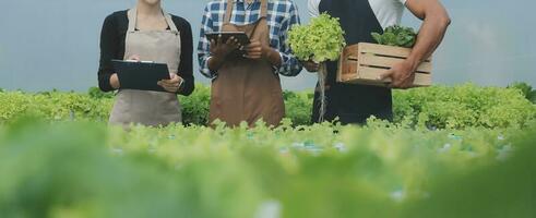 femmina scienziato l'esame un' impianti nel serra azienda agricola. scienziati Tenere attrezzatura per ricerca pianta nel biologico azienda agricola. qualità controllo per idroponica verdura azienda agricola. foto