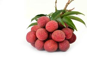 fresco litchi isolato foto