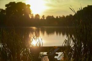 bellissimo sera paesaggio di il lago e vegetazione in giro esso. foto